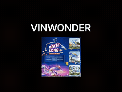 Case Study Vinwonder